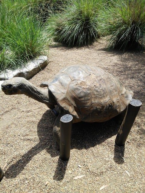 Australian Reptile Park