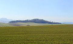 Grodziszcze