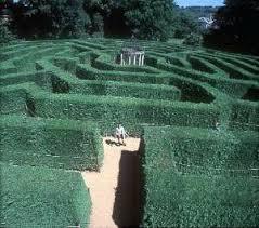 The aMazing Hedge Puzzle