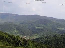 Cyl Hali Śmietanowej