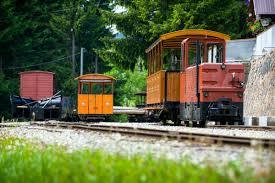 Orawska Kolej Leśna