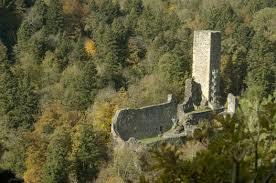 Burgruine Wieladingen