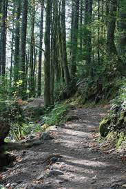Rattlesnake Ridge Trail