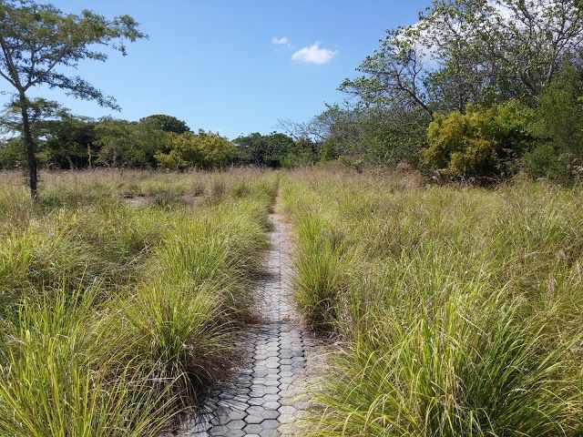 Menjangan Island Diving & Snorkeling Spot