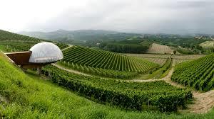 Ceretto Aziende Vitivinicole