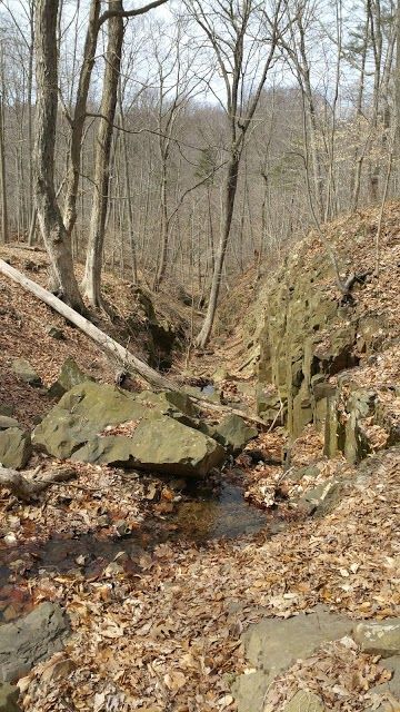 Watchung Reservation