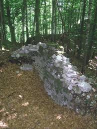 Burg Ober-Falkenstein