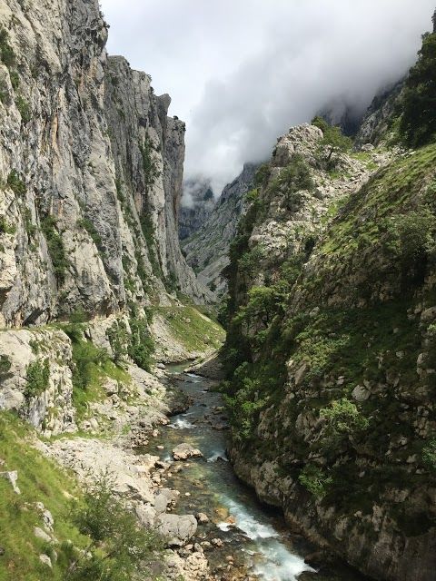 Senda en la Ruta del Cares