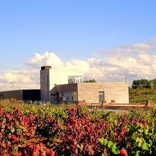Losada Vinos De Finca SA