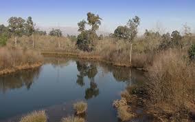 Lagoas de Bertiandos e São Pedro d'Arcos