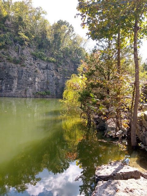 Greenway Farms Dog Park