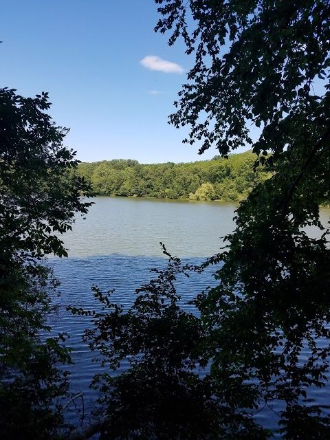 Silver Lake Preserve