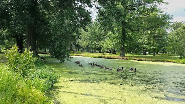 Knight Park Playground