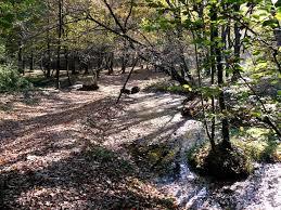 Riserva naturale Fontana del Guercio