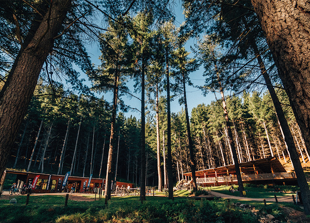 Christchurch Adventure Park