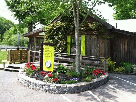 Cakes by Bakin' Bishop