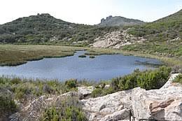 Stagnone della Capraia