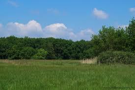 Dabasi Turjanos Termeszetvedelmi terulet