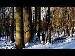 Naturwaldreservat Eichhall