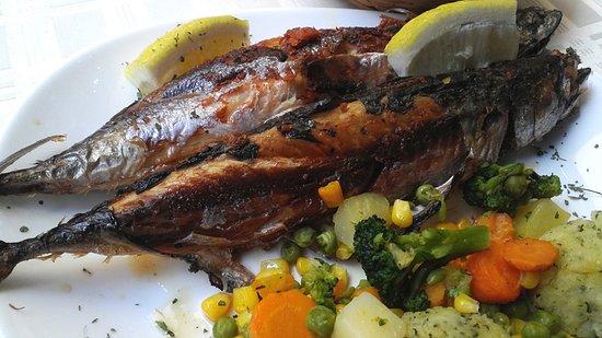 Restoran Riblja Konoba