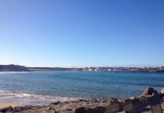 Babushka Kitchen Cafe