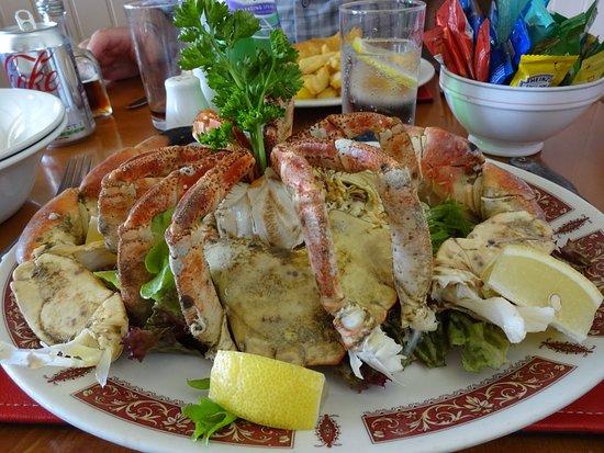 the dolphin grill & bar