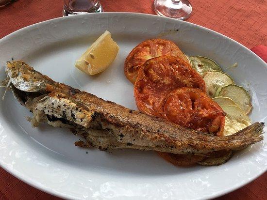 u.o. Štefanic Konoba IVE