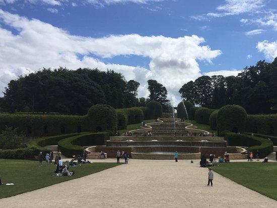 Dishy Fishy Chip Shop