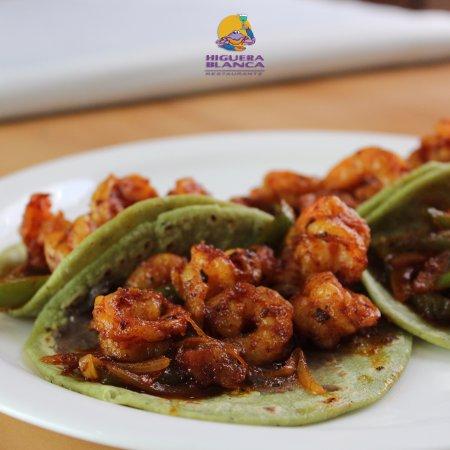 Higuera Blanca De Boca