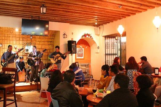 Casa de la Sirena y Cocodrilo Cafe Bar