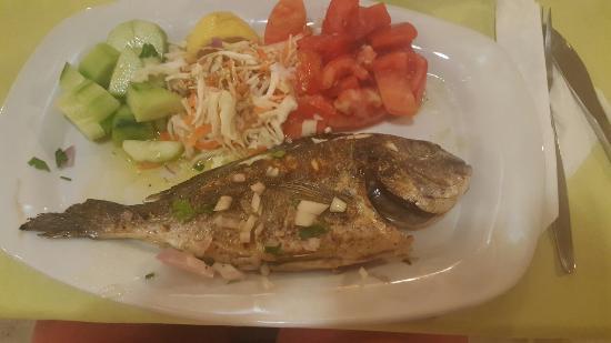 taverna telchinia
