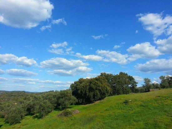 Asador el Mirador de Jabugo