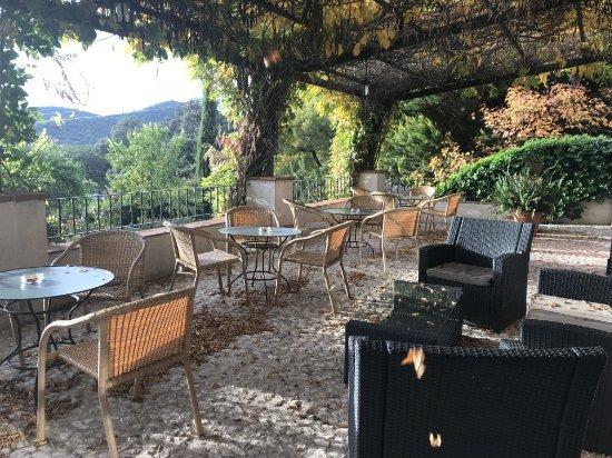 La Encina del Frances