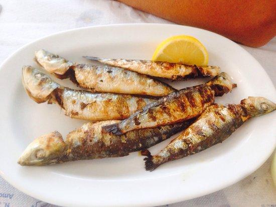 Minos Traditional Tavern