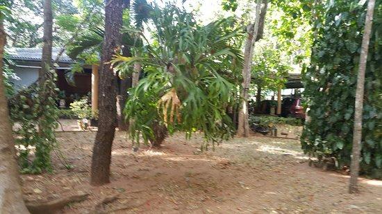 New Sigiri Resort & Restaurant