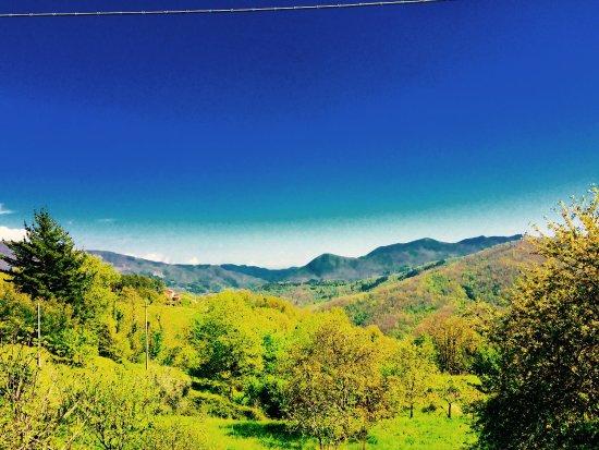 Albergo Ristorante Bar Belvedere