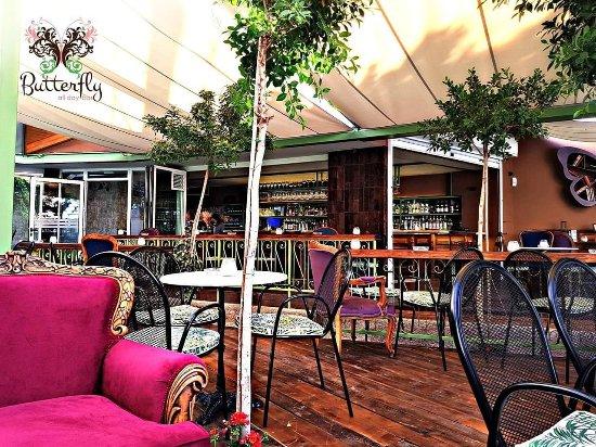 Butterfly All Day Bar