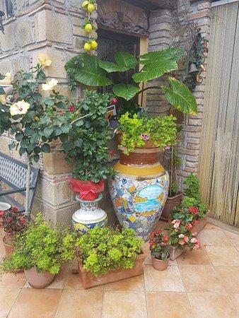 Agriturismo L'Uliveto