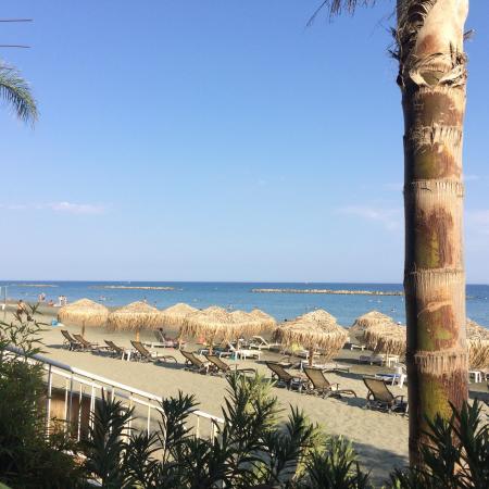 NOA Restaurant and Bar