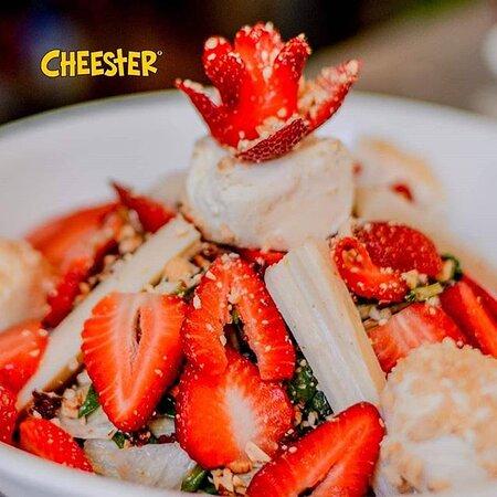 Cheester Playa del Carmen