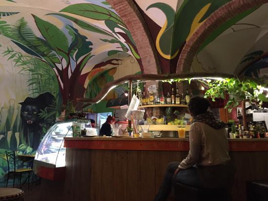 Little Rain Forest