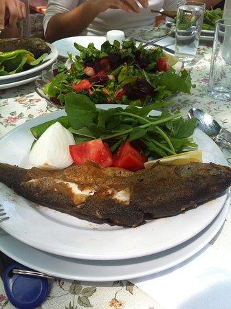 Kozak Cinar Restaurant Cafe