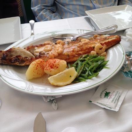 El Rincón de Jaén Iv