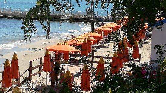 Ristorante e Stabilimento Balneare Il Cavalluccio