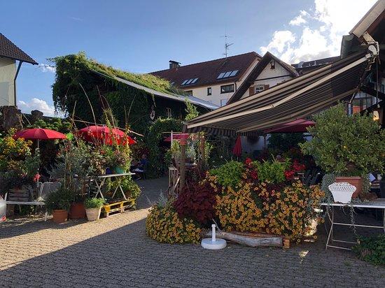 Kiningers Hirsch