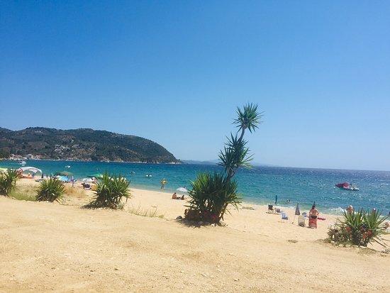 Aiolos Cafe Bar Restaurant