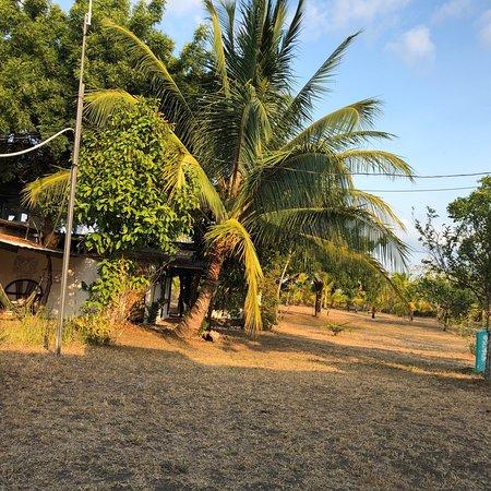 Hibiscus Garden Restaurant