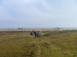 Skanors Ljung Nature Reserve