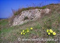 Rezerwat przyrody Krzyżanowice