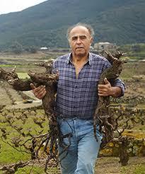 Salvatore Murana Vini